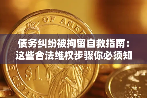 武汉债务纠纷被拘留自救指南：这些合法维权步骤你必须知道！