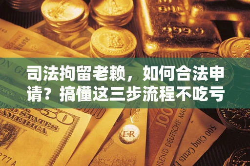 武汉司法拘留老赖，如何合法申请？搞懂这三步流程不吃亏！