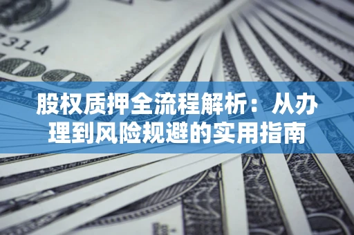 武汉股权质押全流程解析：从办理到风险规避的实用指南
