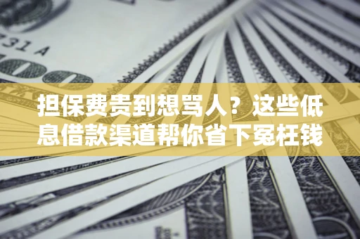武汉担保费贵到想骂人？这些低息借款渠道帮你省下冤枉钱