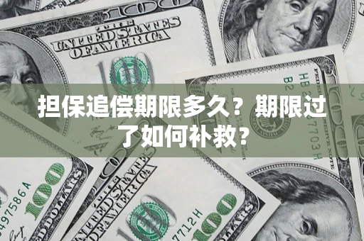 武汉担保追偿期限多久？期限过了如何补救？