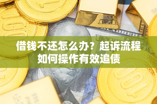 武汉借钱不还怎么办？起诉流程如何操作有效追债