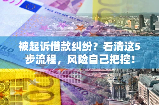 武汉被起诉借款纠纷？看清这5步流程，风险自己把控！