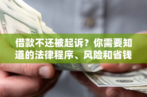 武汉借款不还被起诉？你需要知道的法律程序、风险和省钱技巧