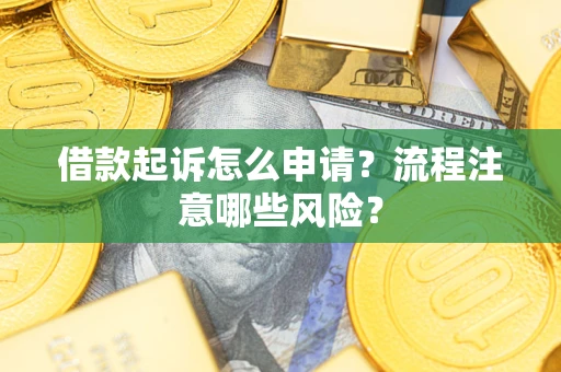 武汉借款起诉怎么申请？流程注意哪些风险？
