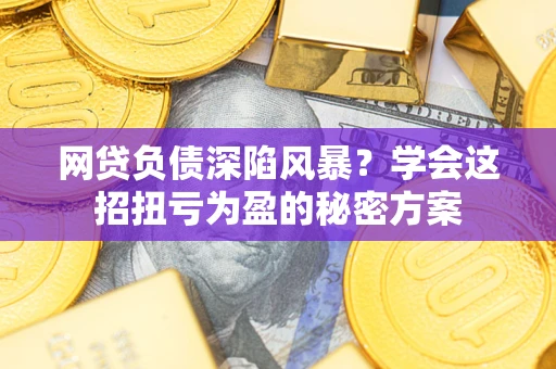武汉网贷负债深陷风暴？学会这招扭亏为盈的秘密方案